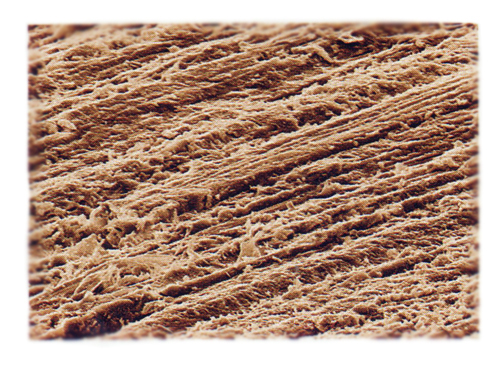 Поверхность древесины обработана шлифовальным материалом с карбидом кремния